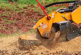 Best Hazardous Tree Removal  in Williamstown, KY